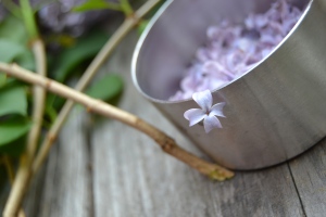 making syrup from lilacs