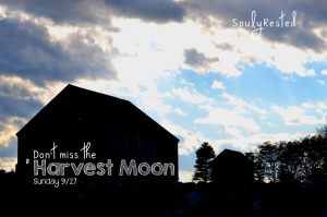Harvest Moon 2015