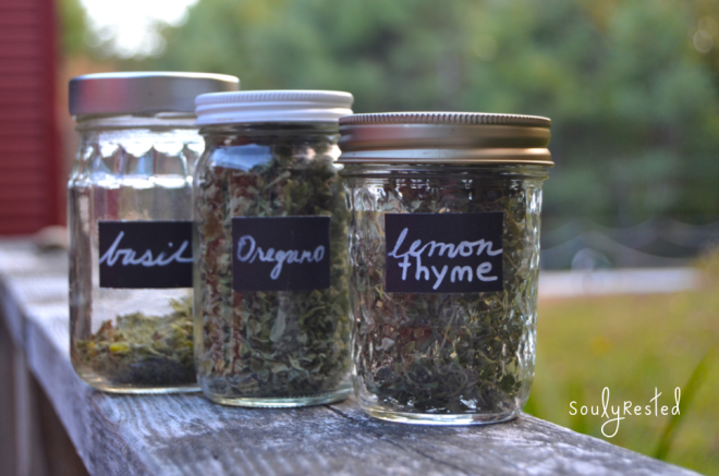 Drying Herbs in mix and match jars