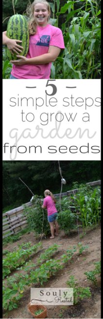 Grow a garden from seeds