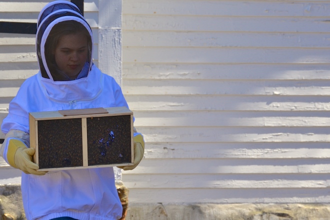 trying your hand at beekeeping