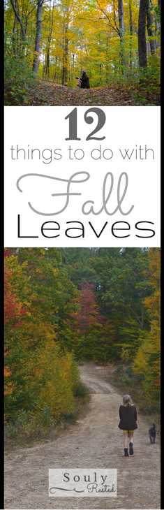 12-things-to-do-with-fall-leaves