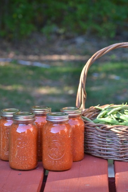 canned tomato sauce and fresh-picked beans