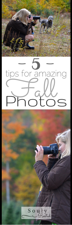 fall-photo-tips